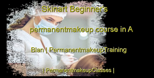 Skinart Beginner's permanentmakeup course in A Blan | PermanentmakeupTraining | PermanentmakeupClasses | SkinartTraining-Viet Nam
